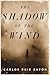 The Shadow of the Wind by Carlos Ruiz Zafón