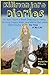 Kilimanjaro Diaries: Or, Ho...