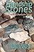 The Friendship Stones (An O...