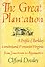 The Great Plantation, A Profile of Berkeley Hundred and Plantation Virginia from Jamestown to Appomattox