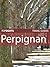 Top Sights Travel Guide: Perpignan (Top Sights Travel Guides Book 64)