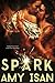 Spark (Ruin Outlaws MC, #2)