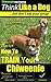 Chiweenie, Chiweenie Training AAA AKC: Think Like a Dog, But Don’t Eat Your Poop! | Chiweenie Breed Expert Training | How to Train Your Chiweenie: Here's EXACTLY How To Train Your Chiweenie