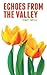 Echoes from the Valley