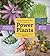 Power Plants: Simple Home Remedies You Can Grow