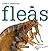 Fleas (Creepy Creatures)