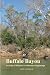 Buffalo Bayou: An Echo of H...