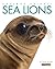 Sea Lions