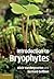 Introduction to Bryophytes