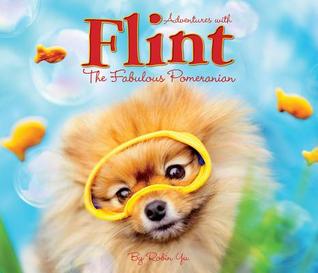 Flint the Fabulous Pomeranian (Hardcover)