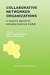 Collaborative Networked Organizations: A research agenda for emerging business models
