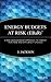Energy Budgets at Risk (EBaR): A Risk Management Approach to Energy Purchase and Efficiency Choices