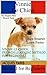 Vinnie Le chien, French Learning Method for Beginners (French Edition)