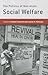 The Politics of Non-state Social Welfare