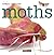 Moths (Creepy Creatures)