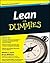 Lean For Dummies