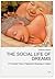 The Social Life of Dreams: A Thousand Years of Negotiated Meanings in Iceland (12) (European Studies in Culture and Policy)