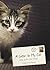 A Letter to My Cat by Lisa Erspamer