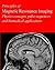 Principles of Magnetic Resonance Imaging by Yi Wang