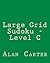 Large Grid Sudoku - Level C...