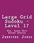 Large Grid Sudoku - Level 1...