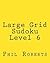 Large Grid Sudoku Level 6: ...