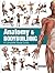 Anatomy & Bodybuilding: A Complete Visual Guide