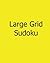 Large Grid Sudoku: Moderate...