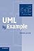 UML by Example (Sigs: Advances in Object Technology S)