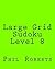 Large Grid Sudoku Level 8: ...