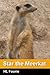 Star the Meerkat by H.L. Fourie