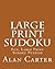 Large Print Sudoku: Fun, Large Print Sudoku Puzzles