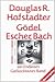 Gödel, Escher, Bach. ein Endloses Geflochtenes Band by Douglas R. Hofstadter