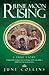 Junie Moon Rising: A True Story. A Hedonistic Woman Tries to Change so She Can Adopt a Child from the Streets of Asia.