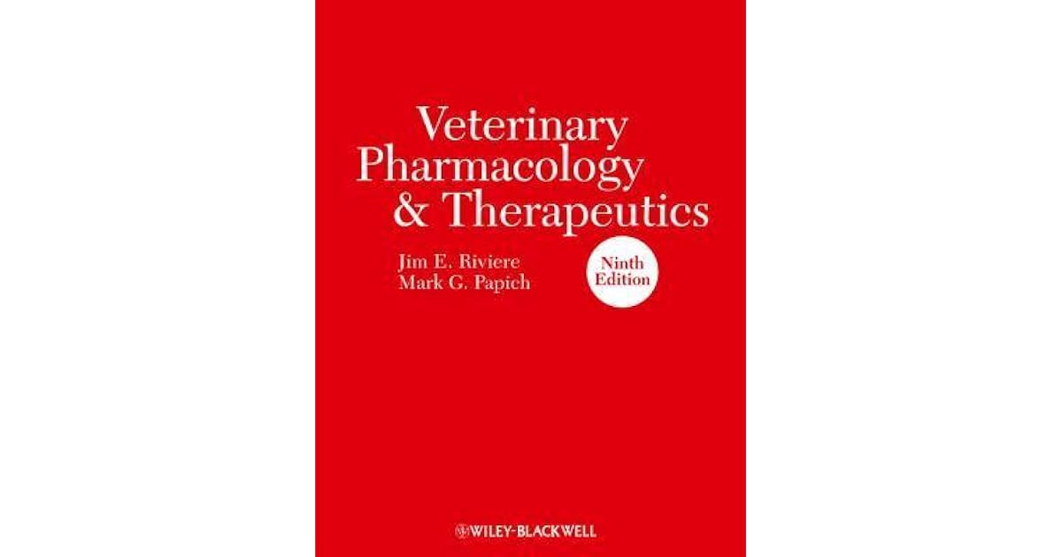 Comparative Adjectives visual data 3