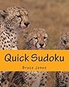 Quick Sudoku: Fast, Fun, and Easy Sudoku Puzzles