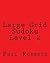 Large Grid Sudoku Level 2: ...