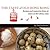 The Taste of Old Hong Kong:...
