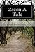 Zicci: A Tale