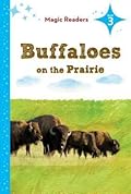 Buffaloes on the Prairie ~ Level 3