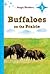 Buffaloes on the Prairie ~ ...
