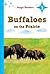 Buffaloes on the Prairie ~ ...