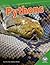Pythons (Amazing Reptiles)