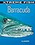 Barracuda (Xtreme Fish)