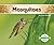 Mosquitoes (Insects )