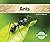 Ants (Insects )
