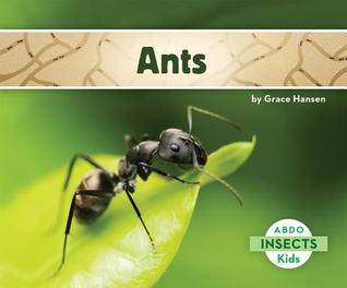 Ants (Insects )