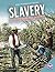 Slavery in the United States (African-American History)