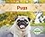 Pugs (Dogs Set 1)