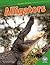 Alligators (Amazing Reptiles)